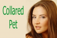 Collared Pet