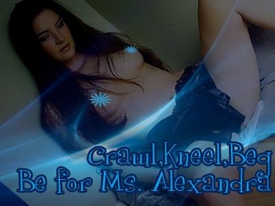 Crawl, Kneel & Beg for Ms. Alexandra