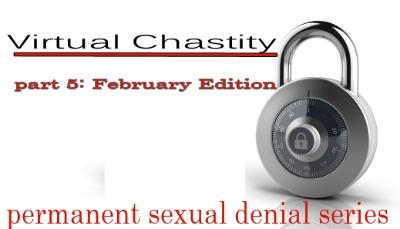 Virtual Chastity - February Edition